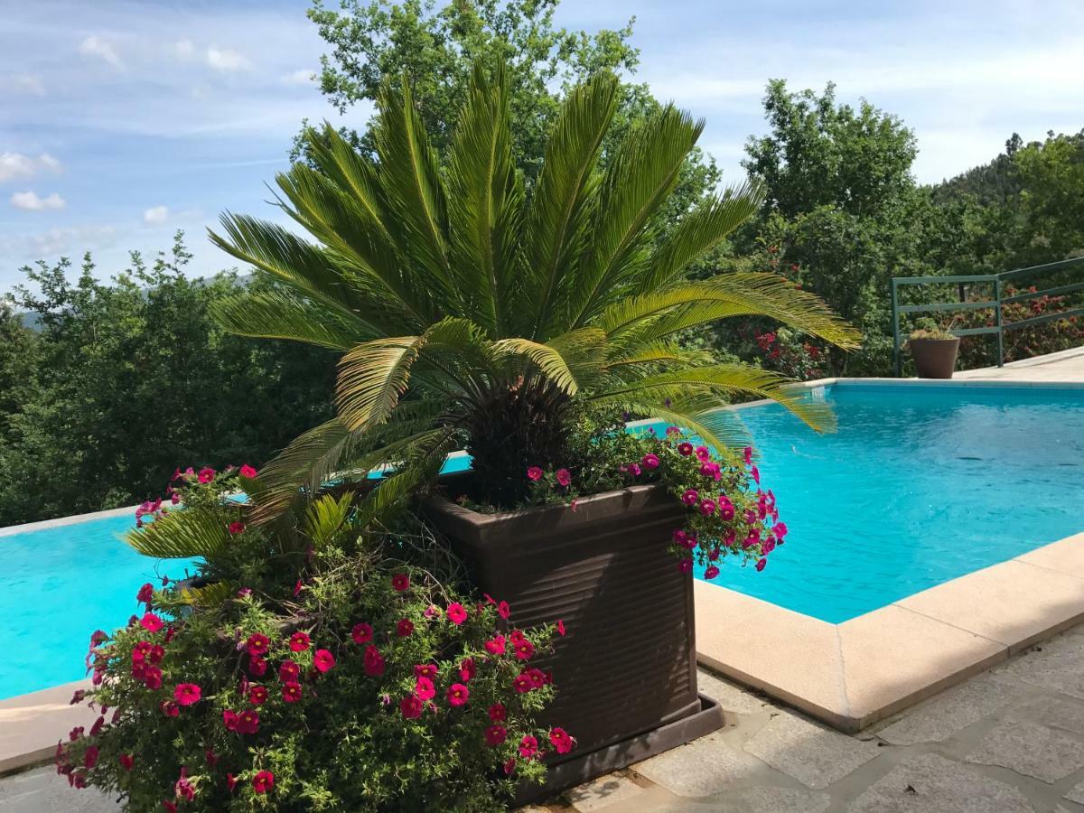 Quinta Paraiso Do Ermal Vieira do Minho Zewnętrze zdjęcie